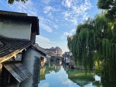 -乌镇西栅景区