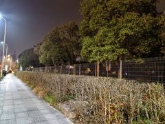-东方体育中心·停车场