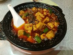 -陈麻婆豆腐总店