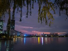 -天鹅湖体育公园