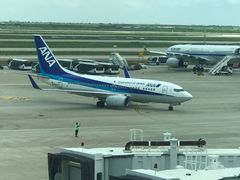 -全日本空输株式会社(上海办事处)