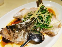 清蒸鲈鱼-龙记烧腊茶餐厅(常德路店)