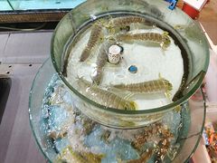 -强记海鲜·大排档(蛇口新街店)