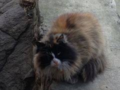 iphone_upload_pic-北京水岸山吧度假村(雁栖镇店)