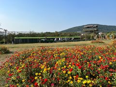 -苏州太湖西山岛开心农场