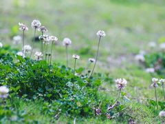 -无锡新湖铂尔曼大酒店