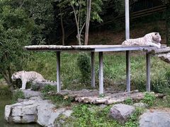 -宁波野生动物园