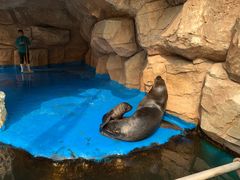 -华夏文旅海洋公园