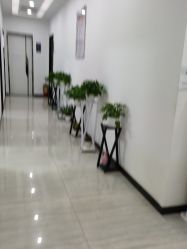 -悟空祛痘·亚健康皮肤管理中心