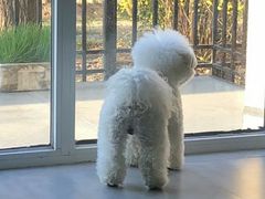 -沐沐家宠物(成寿寺店)