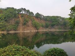-王借岗森林公园
