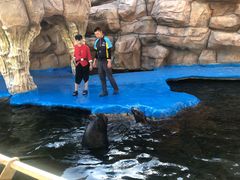 -华夏文旅海洋公园