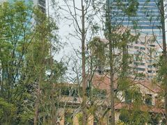 -Seesaw Coffee(上生新所店)