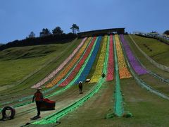 -衢州飞鸿滑草场