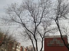 -北京市海淀区职业学校