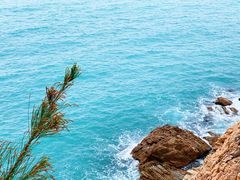 -广东惠东海龟国家级自然保护区