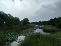 -太湖湖滨国家湿地公园-停车场
