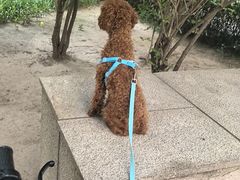 -天宠宠物医院24小时·急重症诊疗中心·全科·腔镜特色(和平分院)