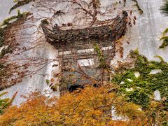 -广富林郊野公园