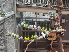 -正佳雨林生态植物园