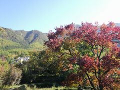 -塔川景区