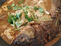 -八珍饺子·烤鸭·家常菜