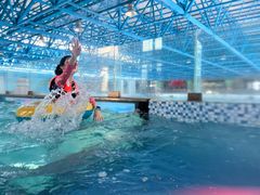 -海豚堡温泉水乐园