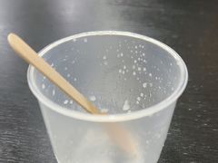 -洪馨椰子