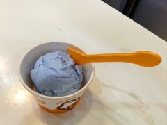 -iceason爱茜茜里·意大利健康冰淇淋(骑龙巷店)
