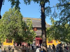 -西园寺素食(西园弄戒幢律寺店)