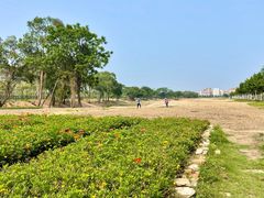 -广东花都湖国家湿地公园