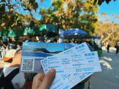 -广东惠东海龟国家级自然保护区