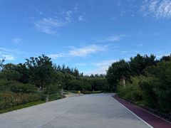-大望京公园