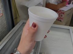 -洪馨椰子