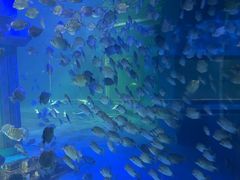 -同至人购物中心(朝阳街店)