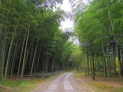 -黄公望隐居地
