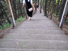 -陕西省红河谷森林公园