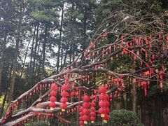 -广州市帽峰山景区