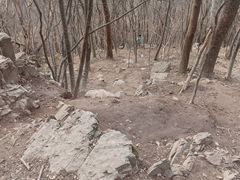 -紫金山山顶公园
