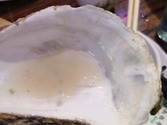 -蚝堡海鲜·威海菜·海肠捞饭·烧烤·亚洲吃蚝公司(幸福门店)