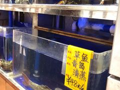 -頂好酒家·经典粤菜(海信广场店)