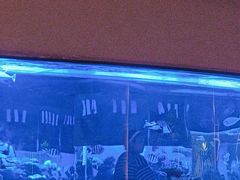 -上和臻品中国菜(花园街店)