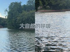 -荔湾湖公园