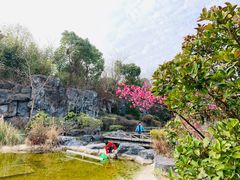 -上海吴淞炮台湾国家湿地公园