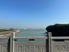 -大湾区中央湿地公园