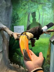 -Zoolung Zoolung动物主题公园(海信广场店)