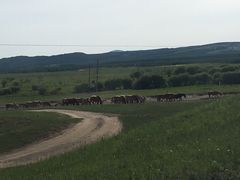 -塞罕坝国家级自然保护区