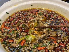 油爆鳝鱼丝-树厨贵州菜(铜仁花果山店)
