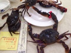 -春华海鲜城(广场西苑店)