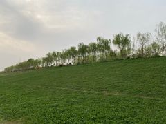 -洨河生态公园